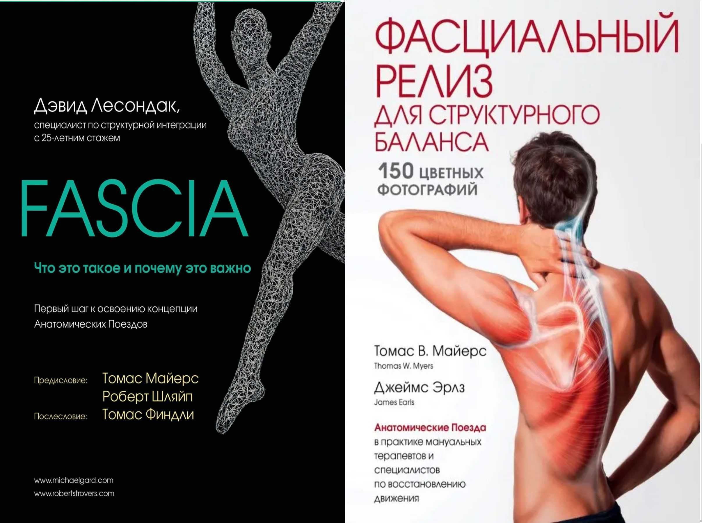 Серия из 10 книг "Анатомические поезда"