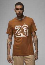 Футболка Jordan graphic t-shirt in brown