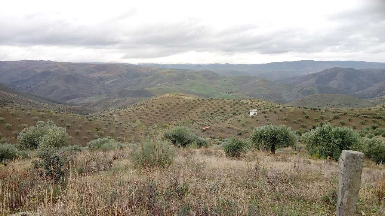 Terreno 15000m2 (1,5h)