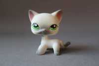 Kot shorthair pet shop lps biały zielone oczy