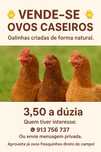 Ovos caseiros biológicos-3,5€ a dúzia'