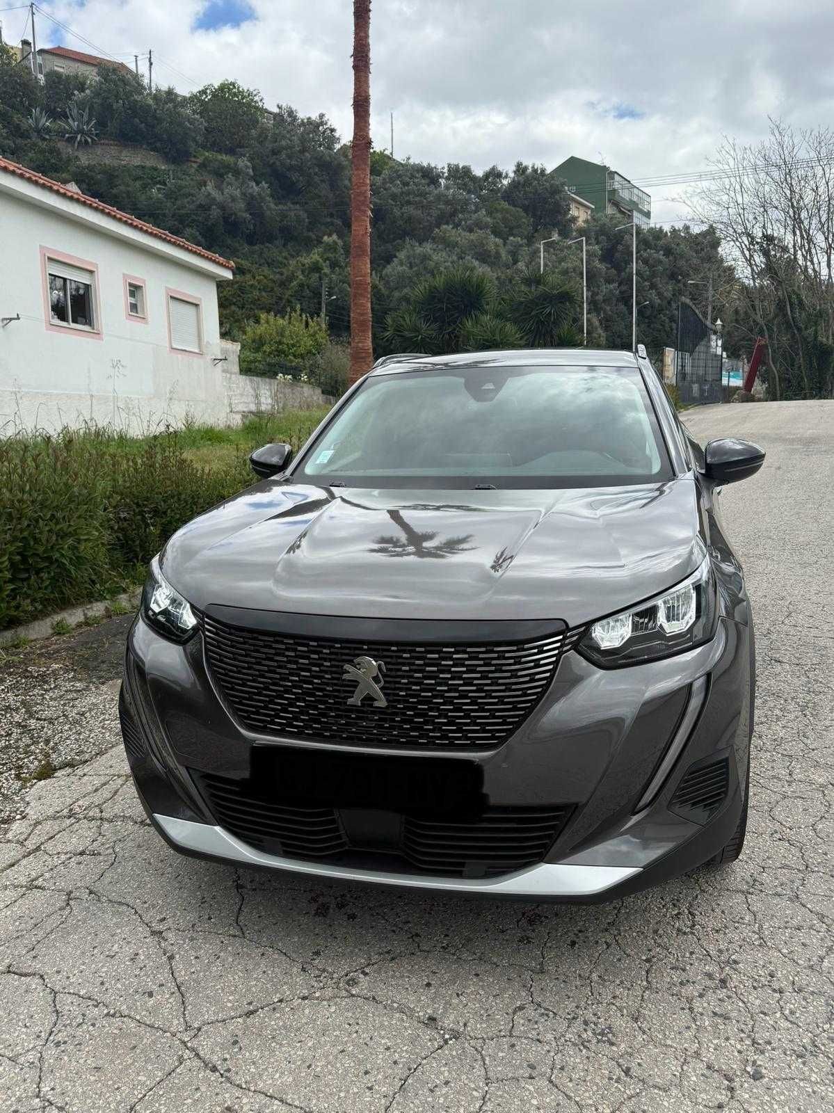 Peugeut 2008 1.2 muito bem estimado
