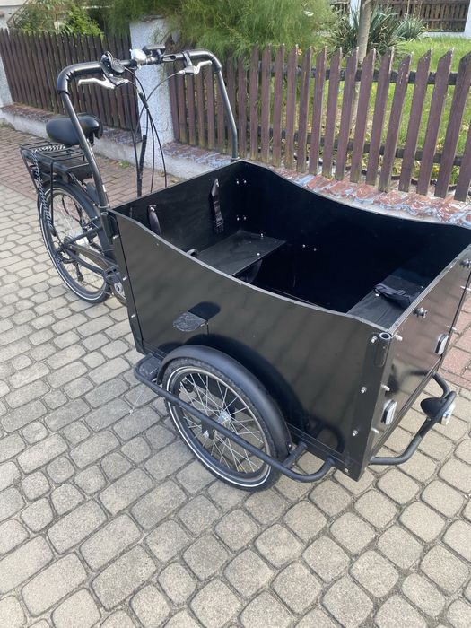 Rower elektryczny-riksza Przyczepka rowerowa