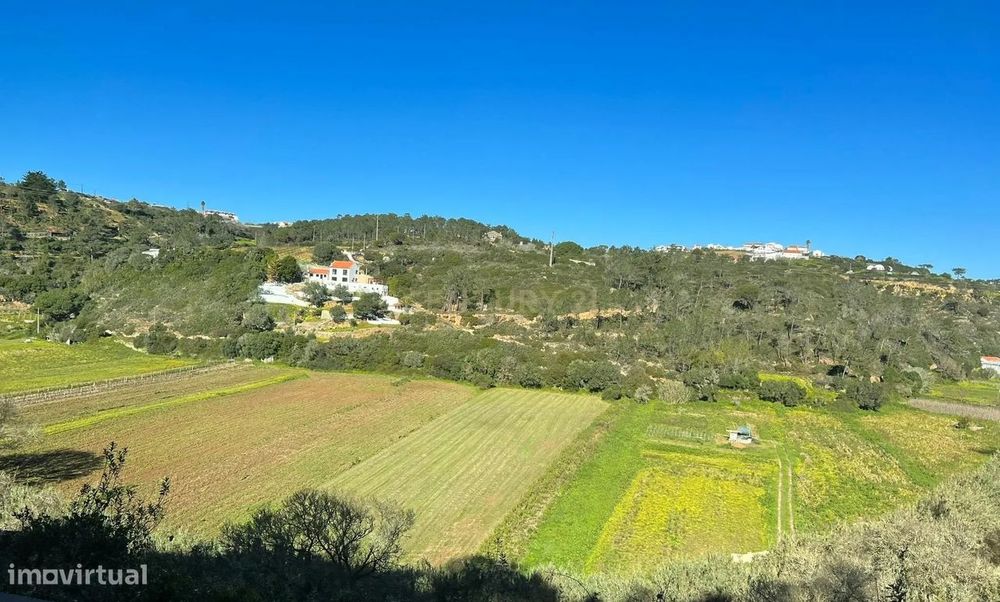 Terreno Rústico no Lameirão em Malpica do Tejo, Castelo Branco