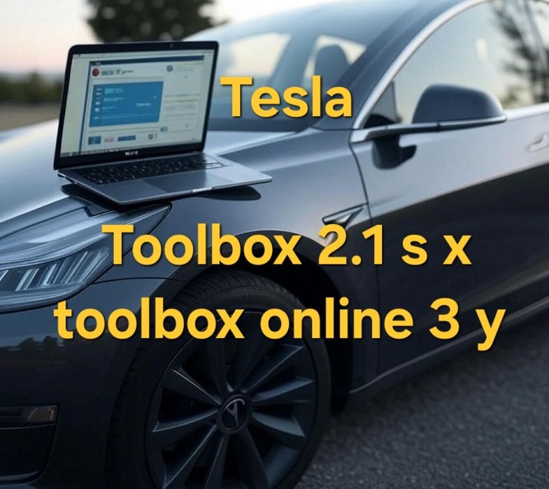 Tesla toolbox 3 online 3 y  2.1 offline диагностика model s x