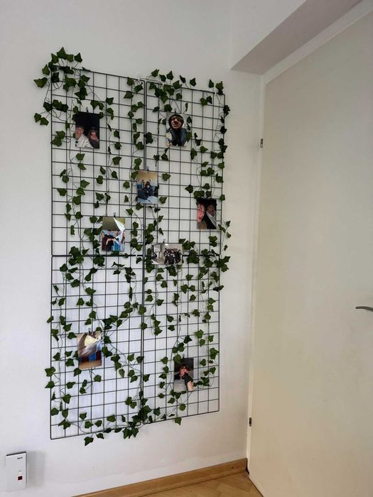 Sztuczny bluszcz 50 m na ścianę balkon taras dekoracja 50 metrów