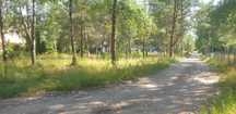Działki rekreacyjne, letniskowe