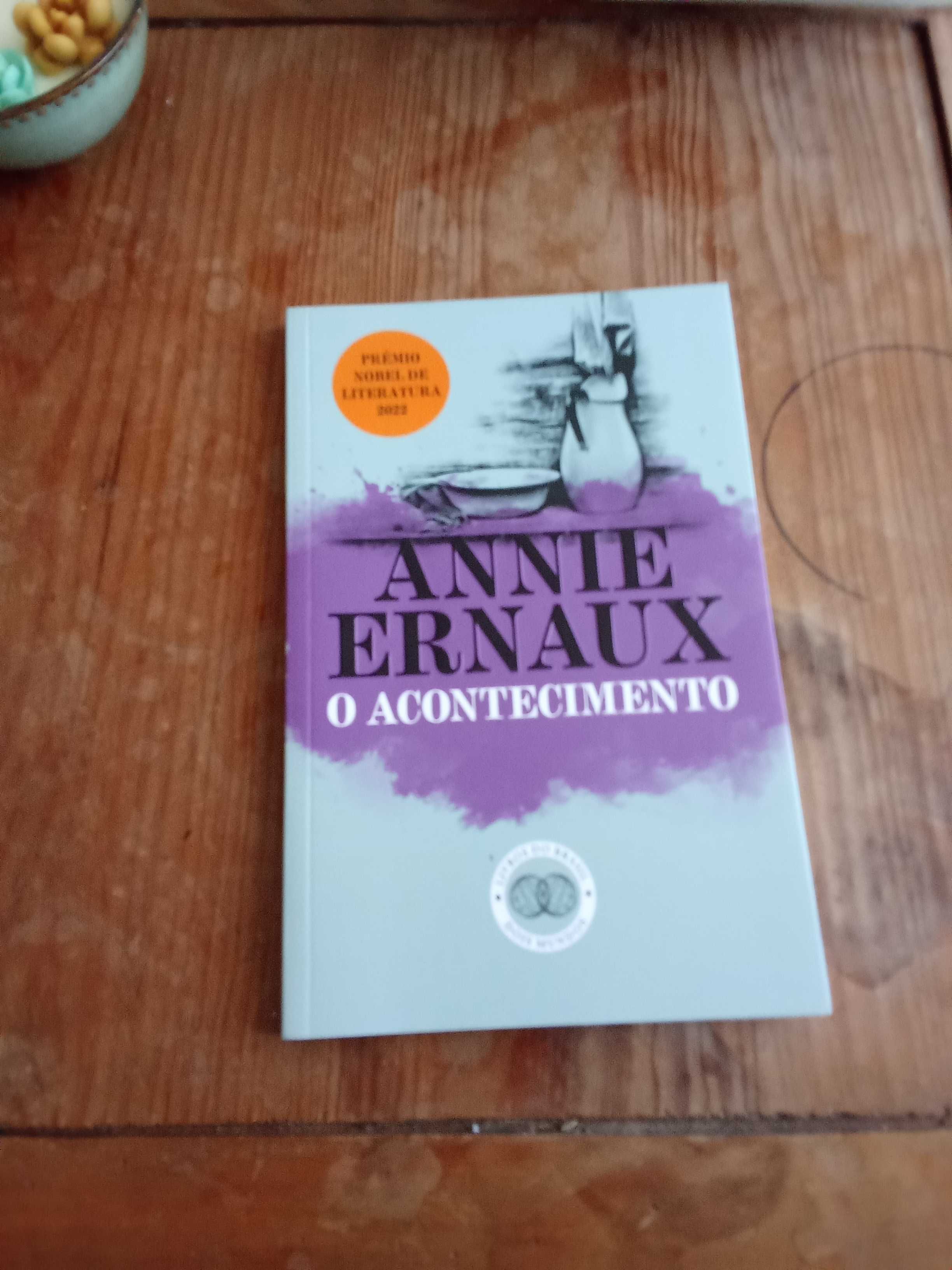 O acompanhamento de Annie Ernaux