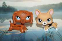 LPS Littlest Pet Shop jamnik #640 corgi #639 oryginalny pop oryginał