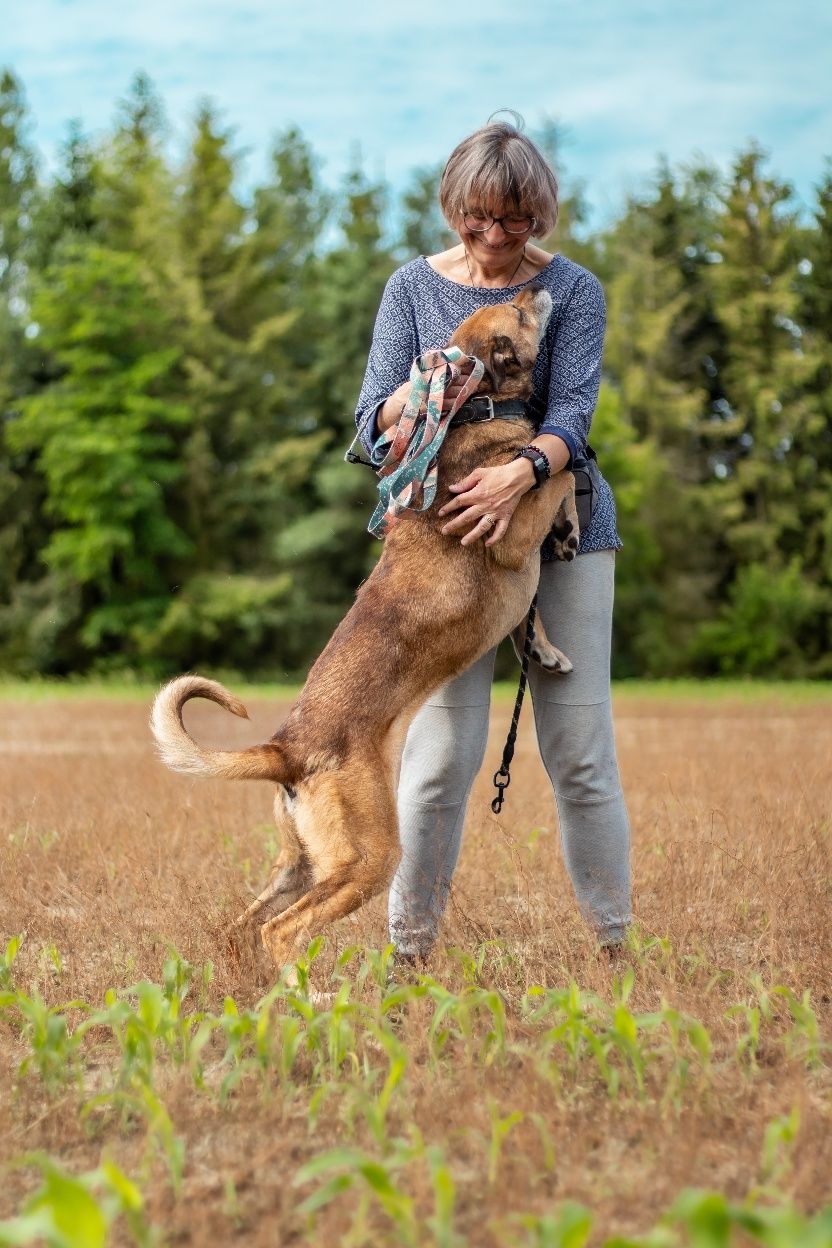 Bary - odebrany interwencyjnie, głodzony, rudasek do adopcji!