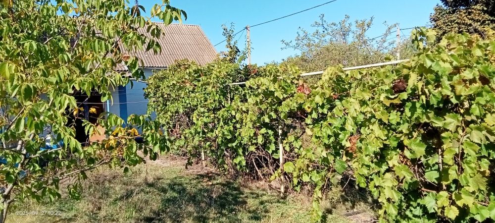 Продам дом с участком