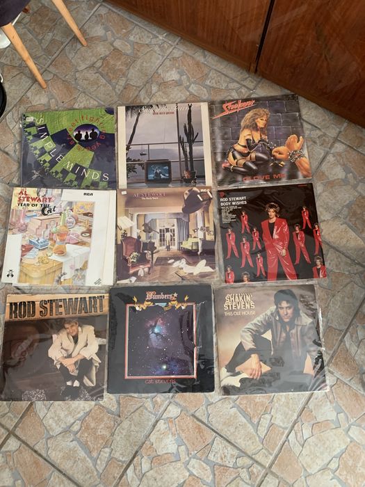 1 płyta winylowa za 40 zlotych