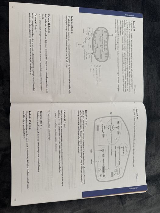 Biologia na czasie 1 (maturalne karty pracy)
