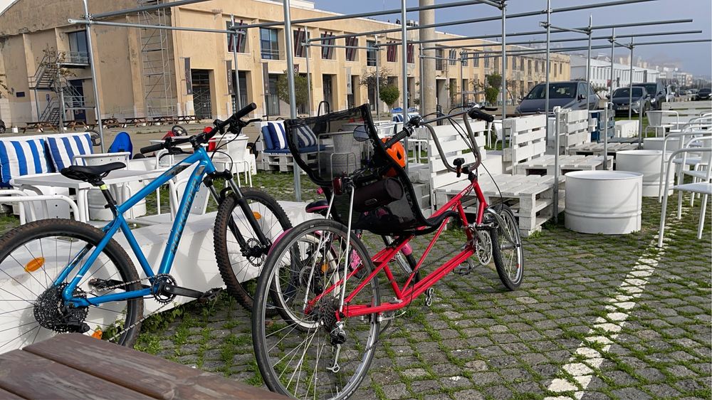 Bicicleta reclinada Easy Racer Tour easy