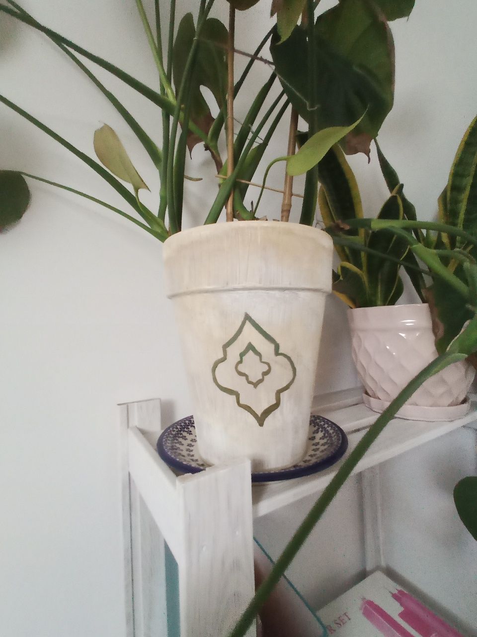 Monstera. Bardzo duża. Ceramiczna ręcznie malowana donica.