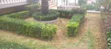 Serviços jardinagem