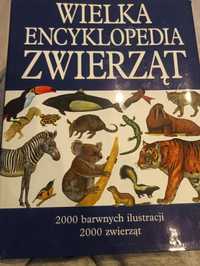 Wielka encyklopedia zwierząt ponad 600 stron