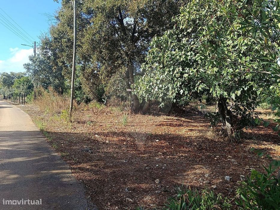 Terreno  para venda