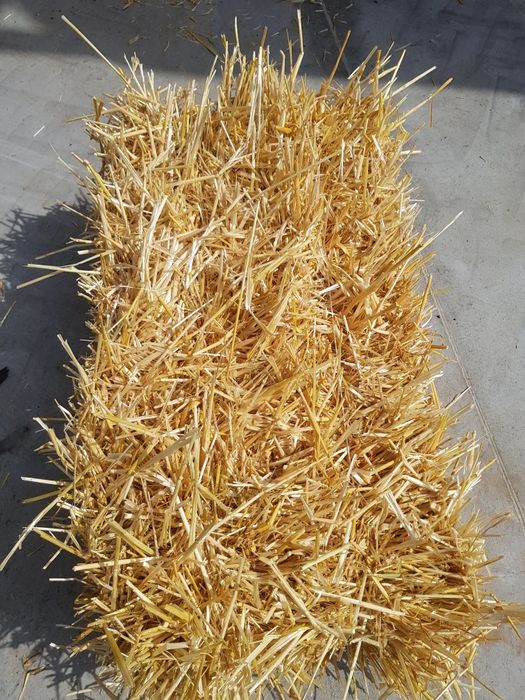 Słoma jęczmienna, jęczmień kostka 12kg zbiór 2025