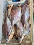 Лещ С ИКРОЙ вяленый чищенный