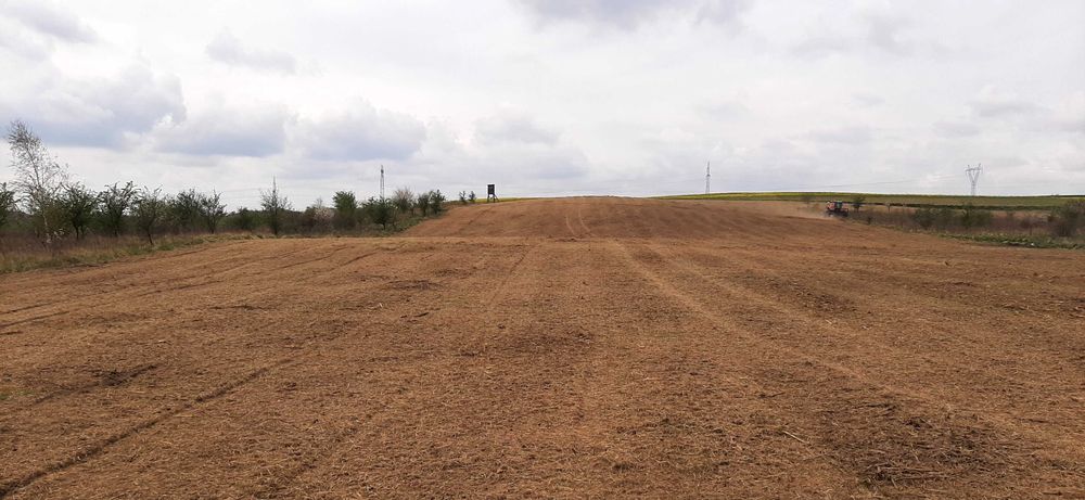 Mulczowanie Karczowanie Czyszczenie Działek Wycinka Samosiejki Mulczer