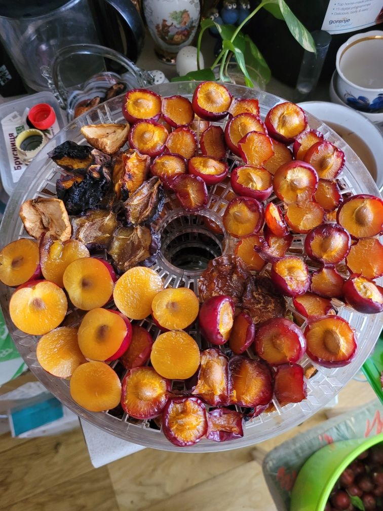 Сухофрукта с яблок, персиков,керстыков,абрикос,яблок,груш,айвы вишни.