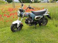 Honda SK Dax 125 – Stan idealny! | 2023 | Tylko 5490 km