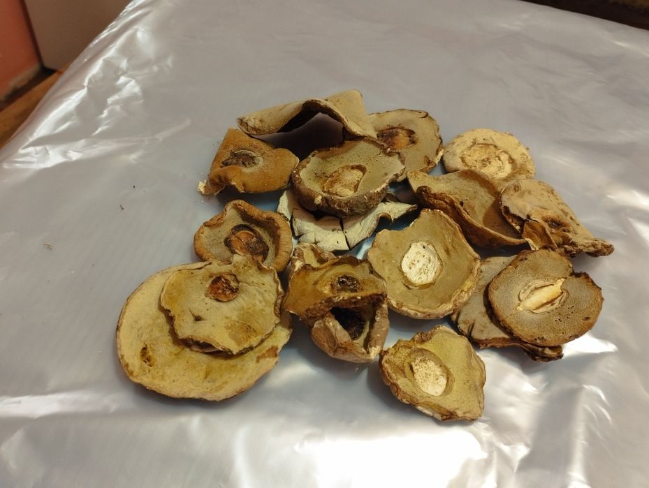 Білі гриби шапочка  ціна за кілограм