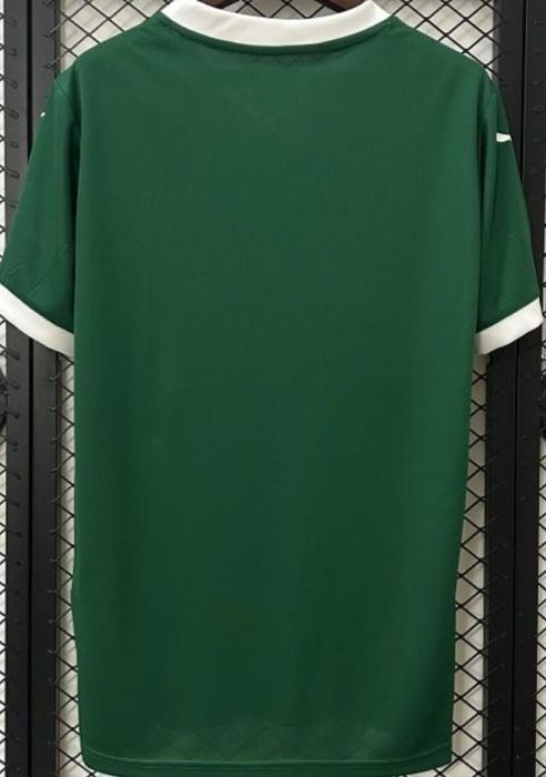 Camisola Palmeiras 25/26 

Vários Clubes 
Mais disponíveis pedir fo