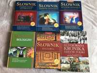 Słownik terminów literackich, motywów literackich, historia i inne