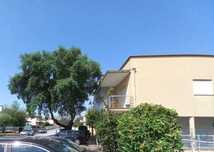 Apartamento T1 em Amarante (São Gonçalo), Madalena, Cepelos e Gatão de