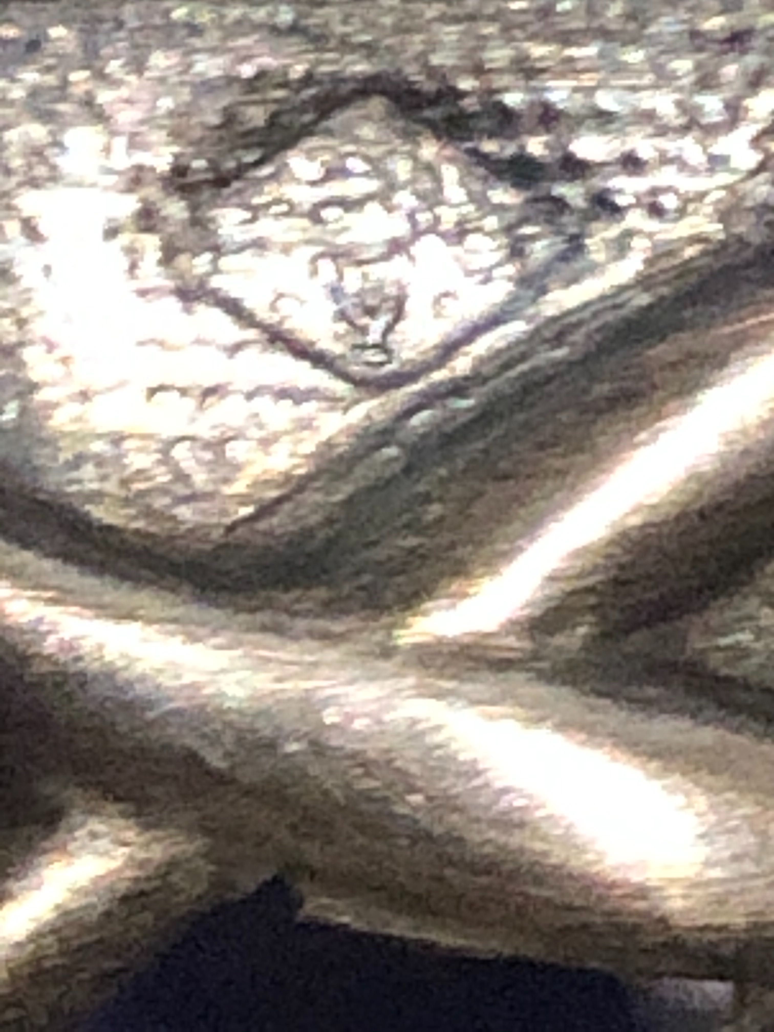 Cukiernica srebrna Pr 950 Minerva Paul Massat  XIXw 1877 r Rarytas