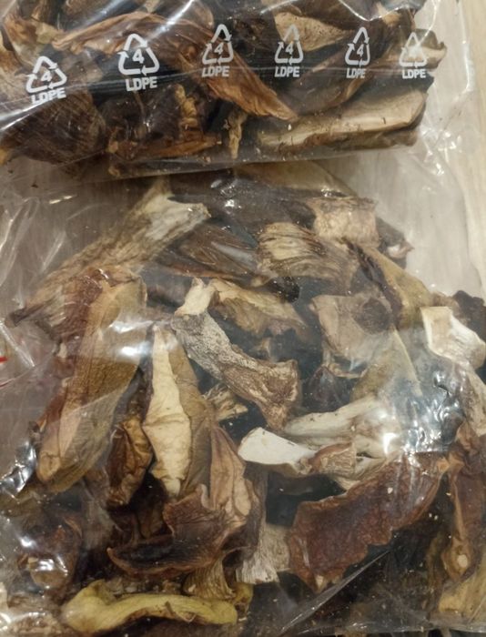 Grzyby suszone prawdziwek