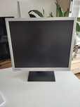 Monitor 19' Prestigio P39l