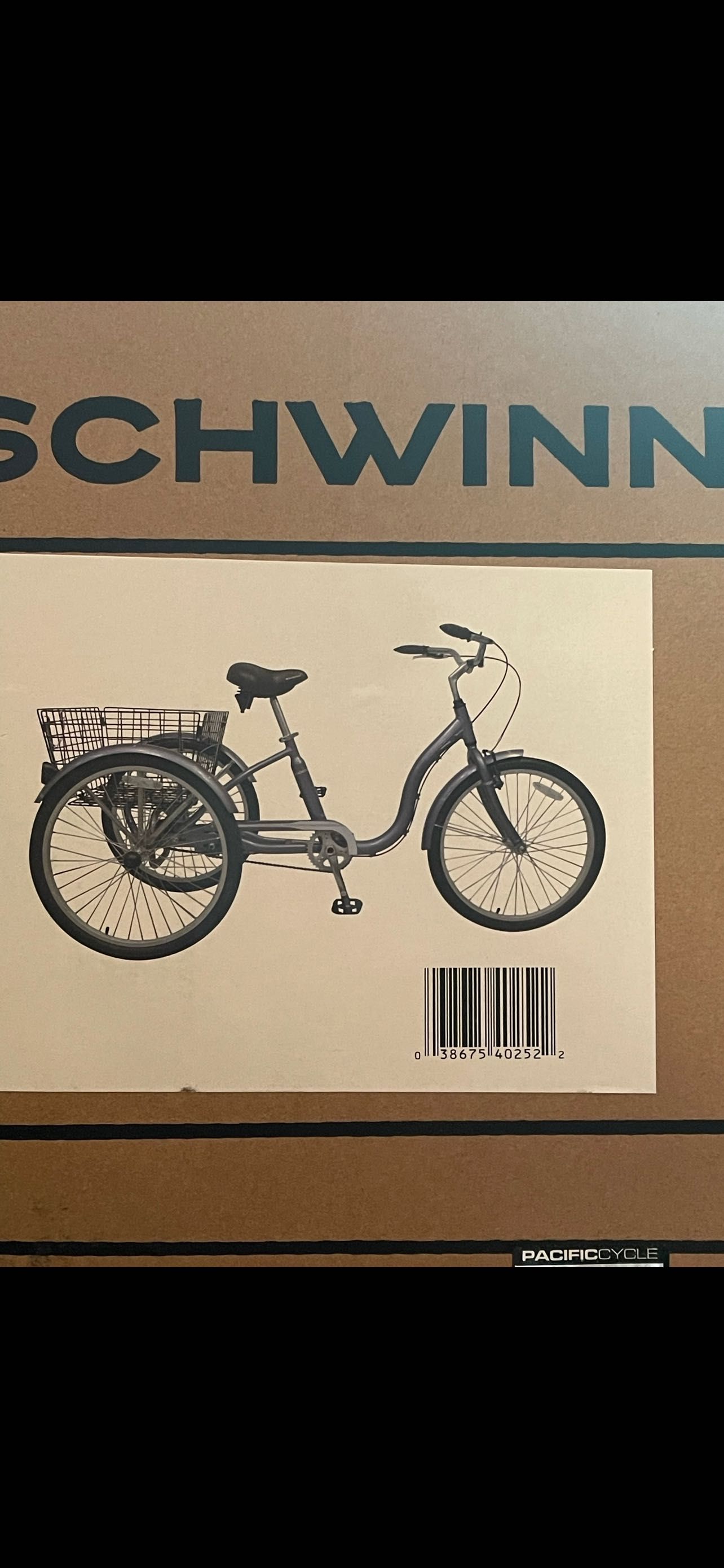 Schwinn Meridian rower