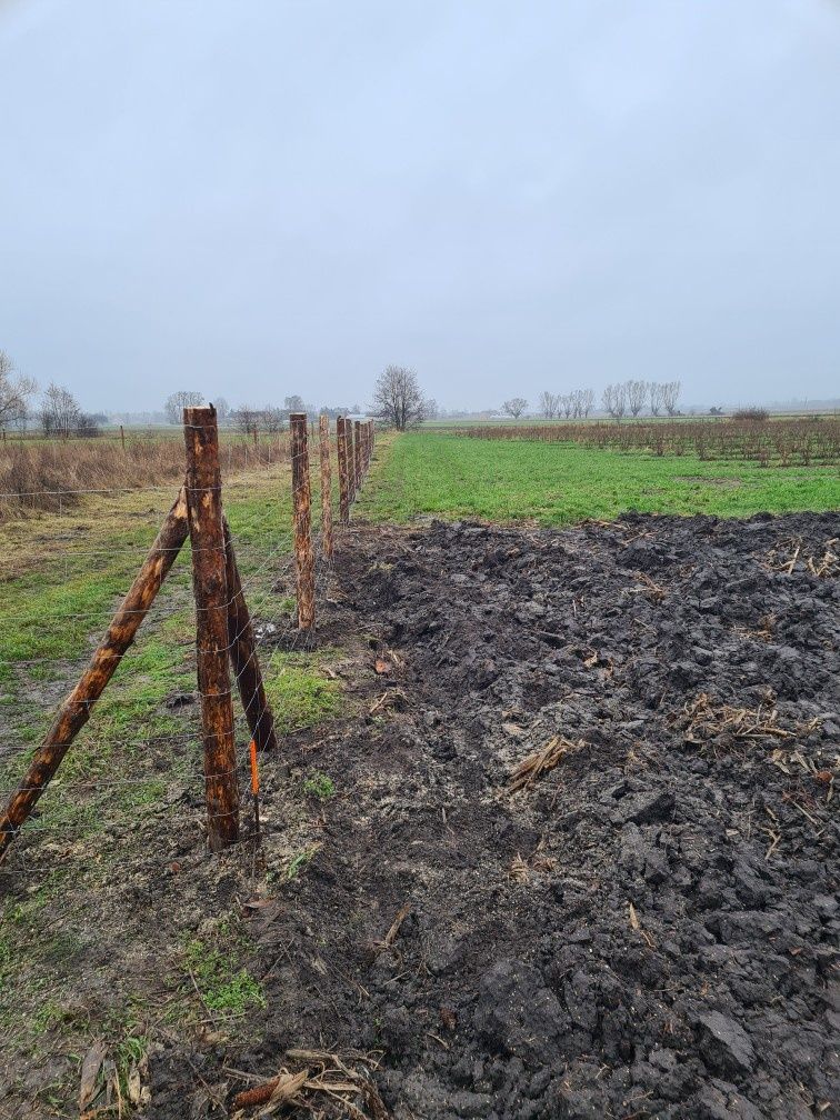 Ogrodzenie budowlane, ogrodzenie tymczasowe, ogrodzenie leśne