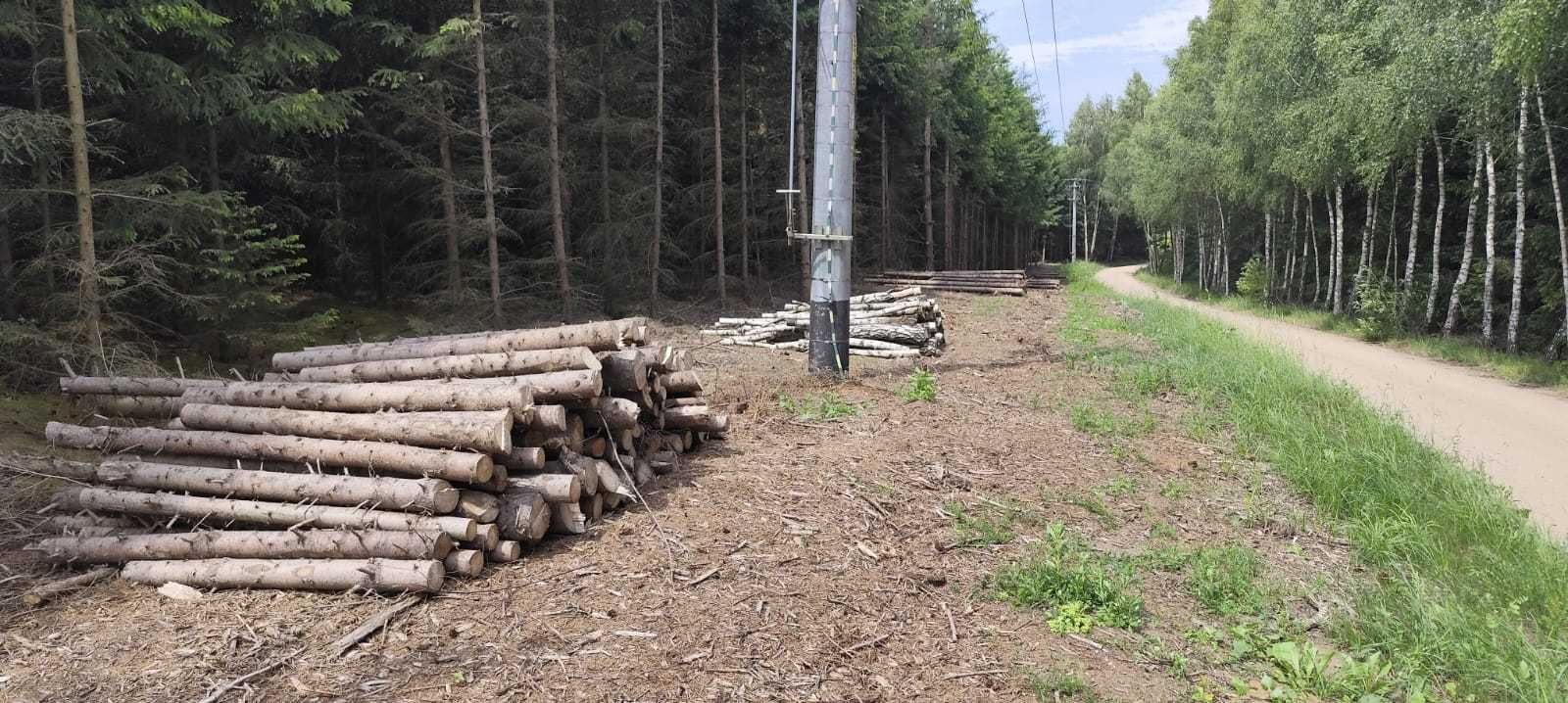 Drewno świerkowe z domieszką sosny – 12 m³