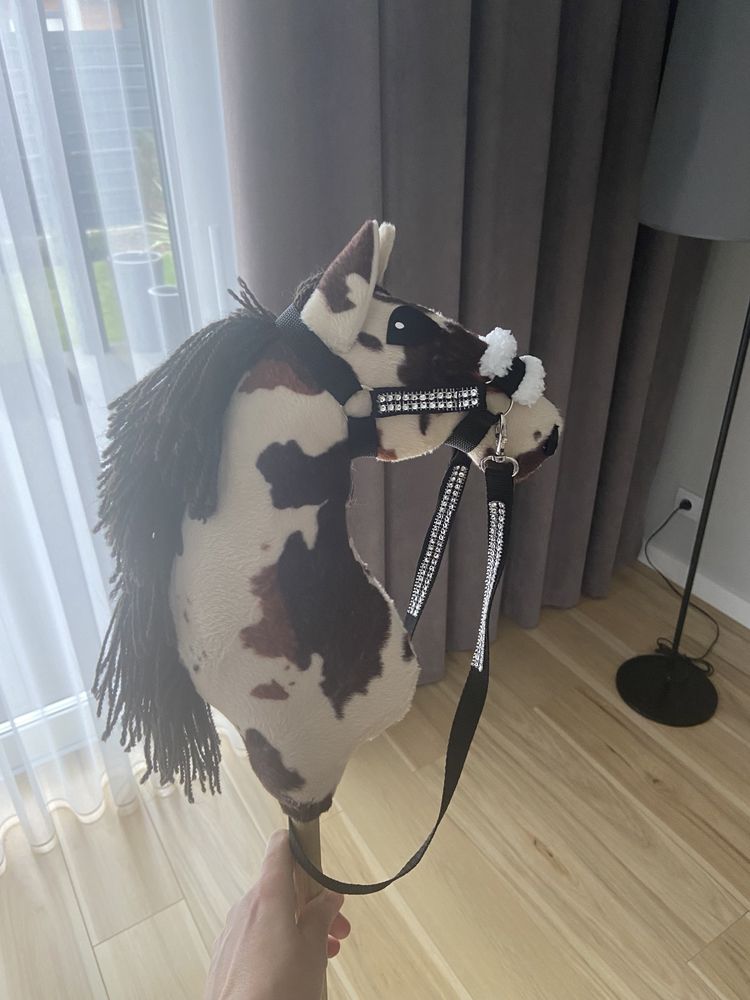 Konik hobby horse