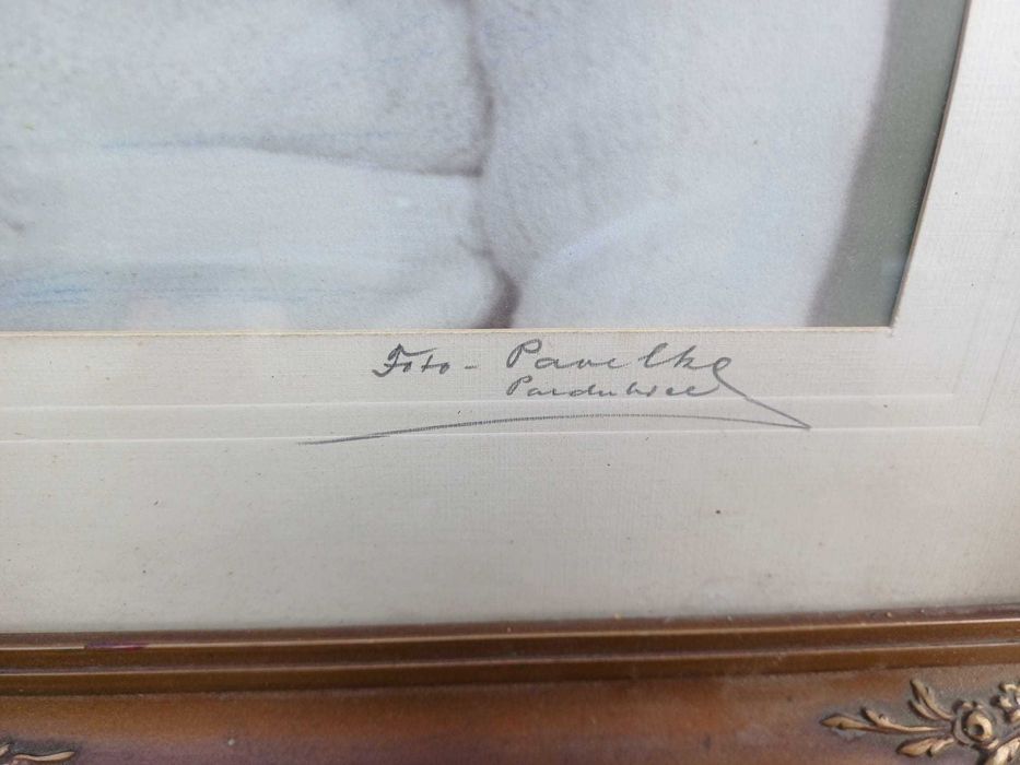 Dtare zdiecie w ramie