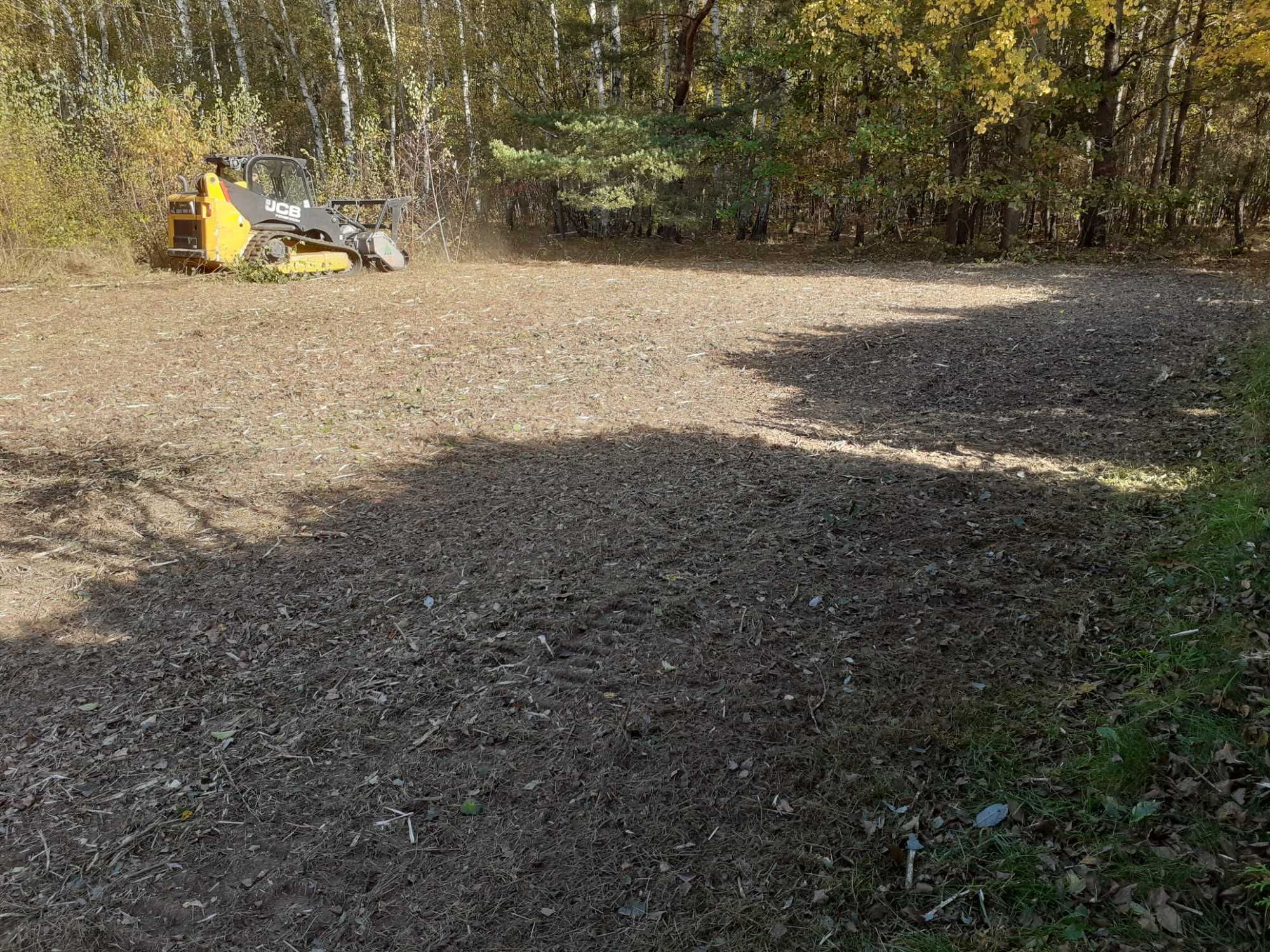 Mulczer czyszczenie działek krzaków samosiejek karczowanie drzew