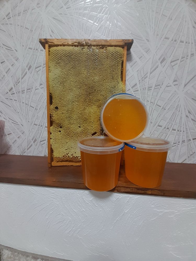 домашній натуральний, якісний мед