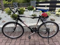 Rower górski Speeder