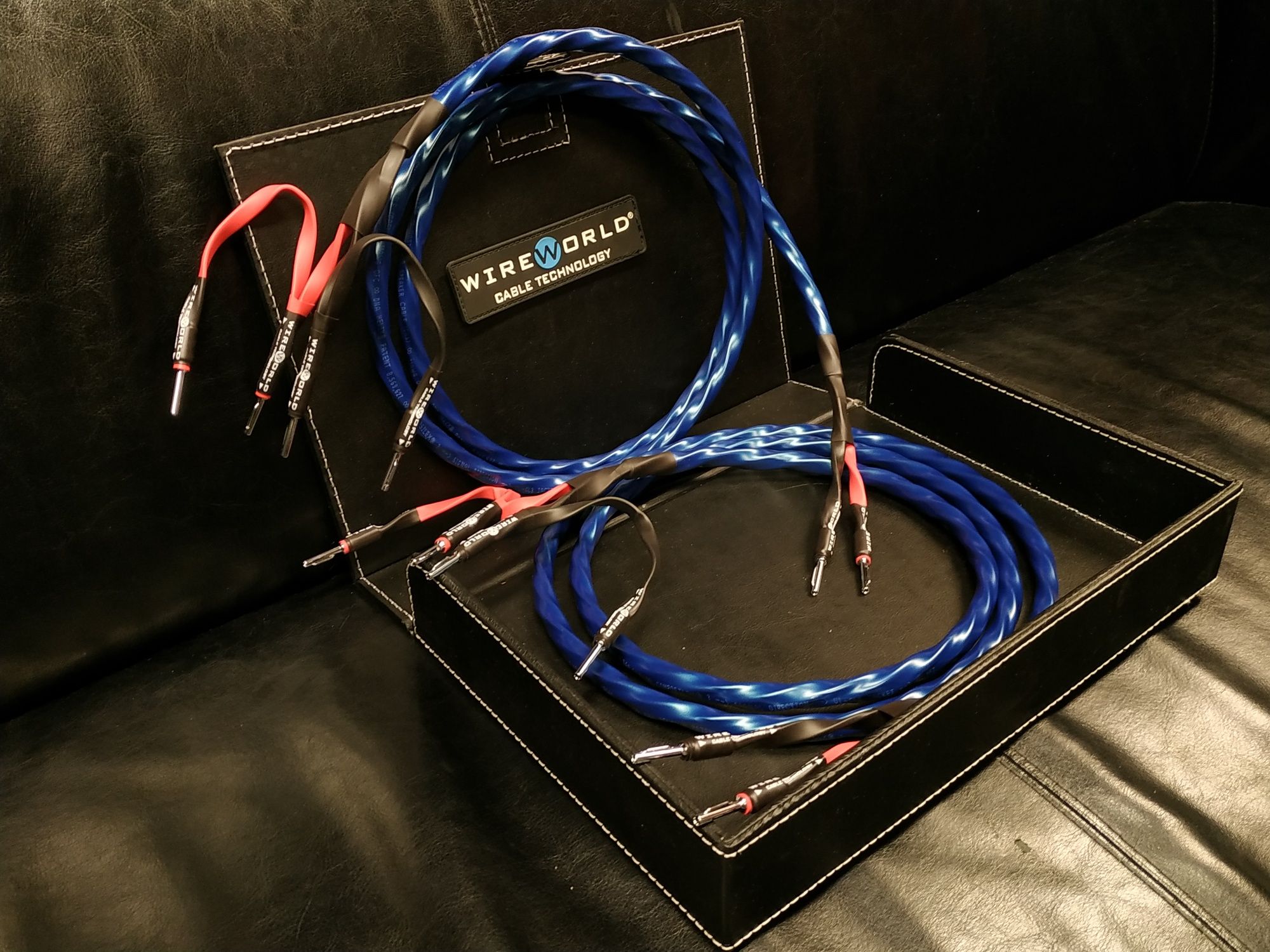 WireWorld Oasis 8 PRO kabel głośnikowy przewód Trans Audio Hi-Fi Wroc