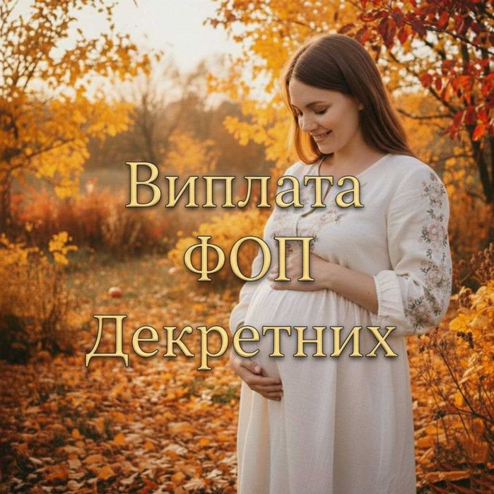 Бухгалтер ФОП ТОВ якісна бухгалтерія для вашого спокою. Робота з ПРРО