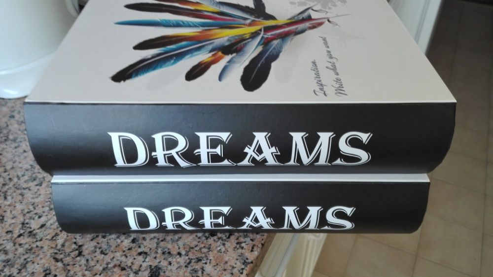 1  caixa secreta livro Dreams