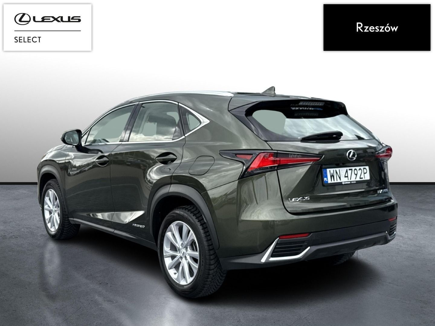 Lexus NX NX300h Business Edition | Piękna zieleń | FVAT 23%