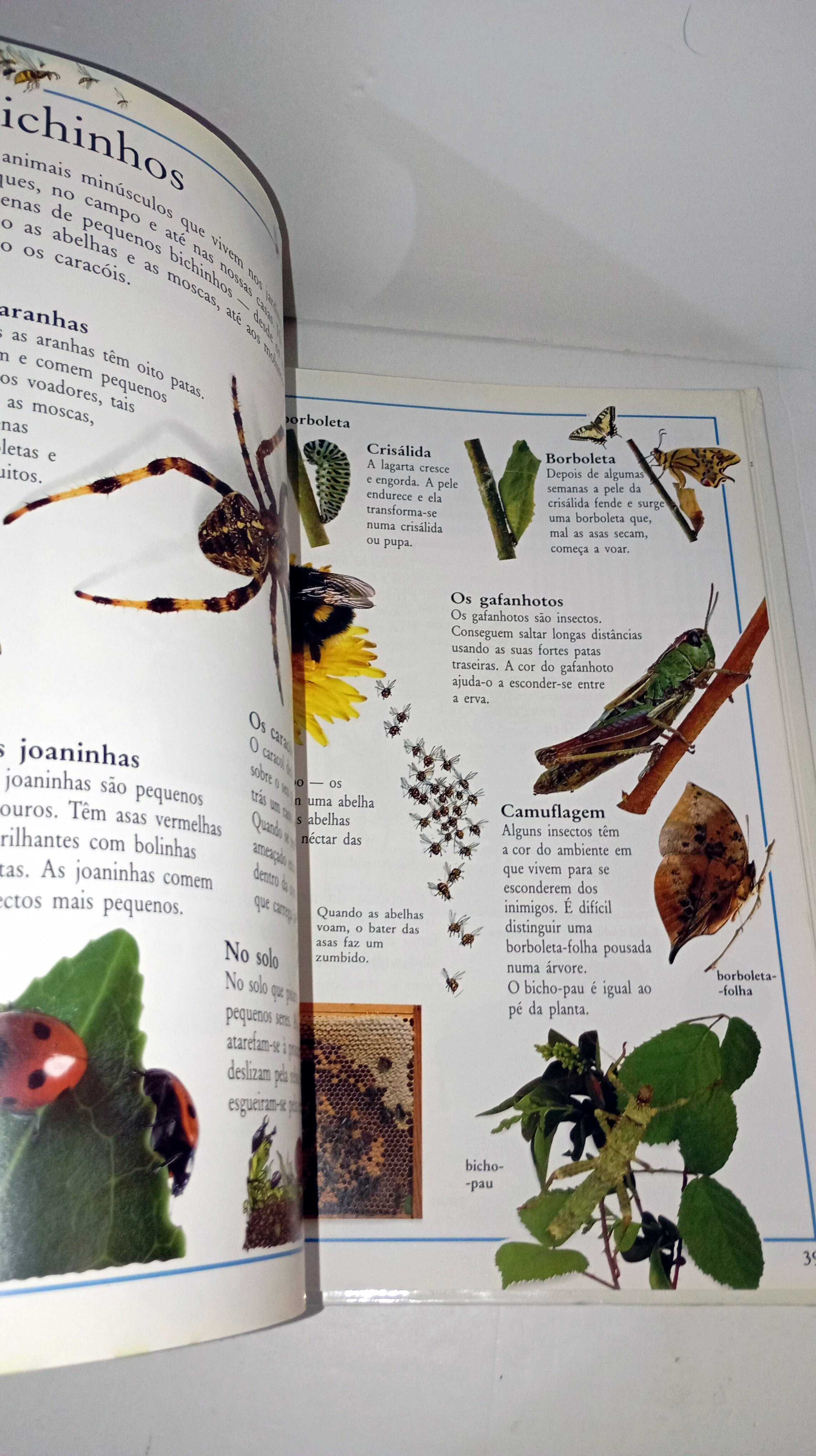 O Meu Livro Sabe Tudo