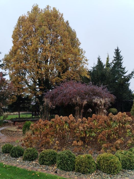 Porządkowanie ogrodów - jesienne prace ogrodowe, ogrodnik na abonament