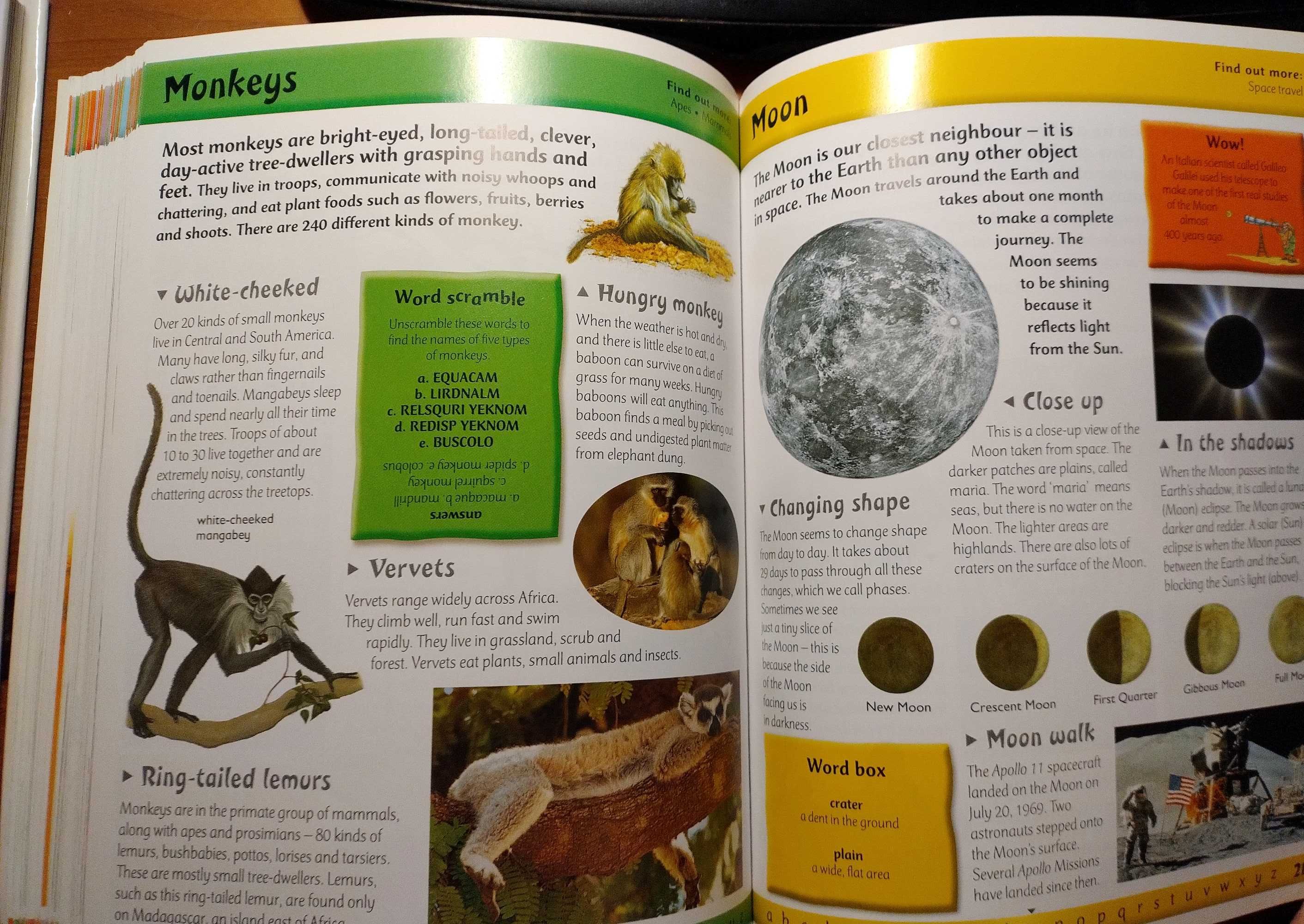Children's Encyclopedia A to Z, encyklopedia dla dzieci po angielsku