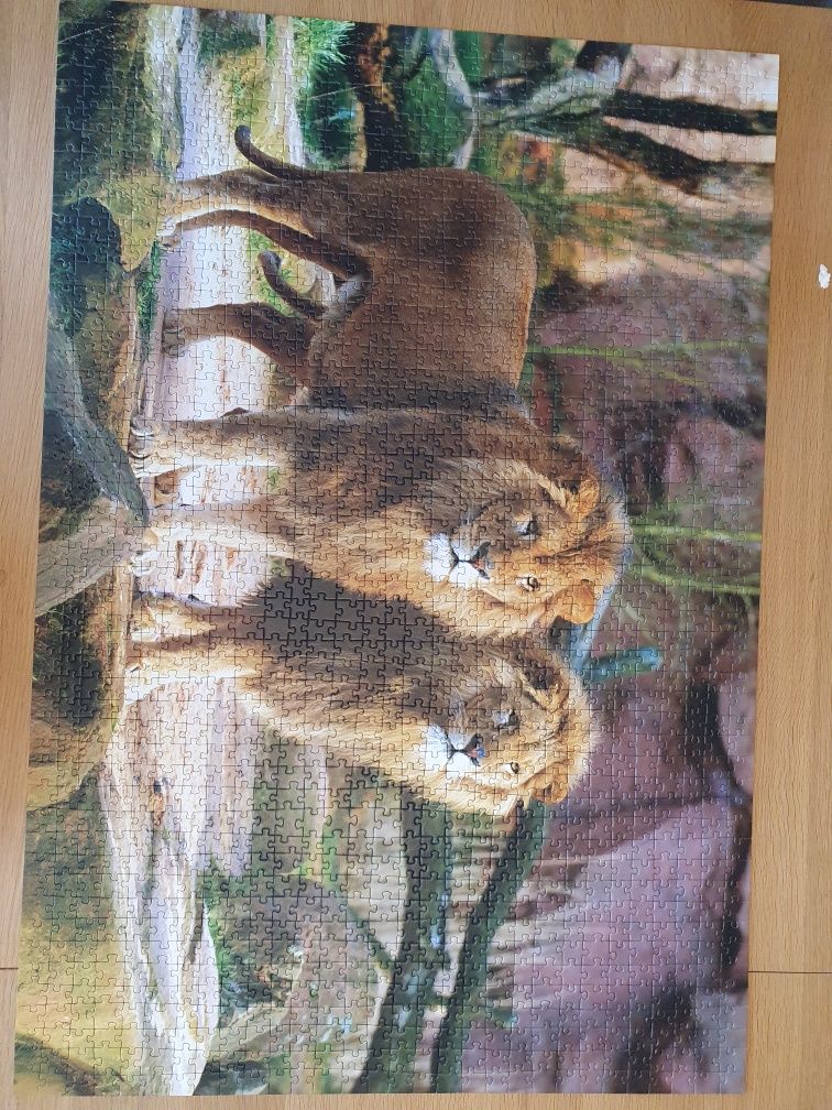 Puzzle 1500 Trefl